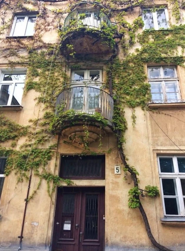 Львівська мерія закликала мешканців заквітчувати фасади будинків.