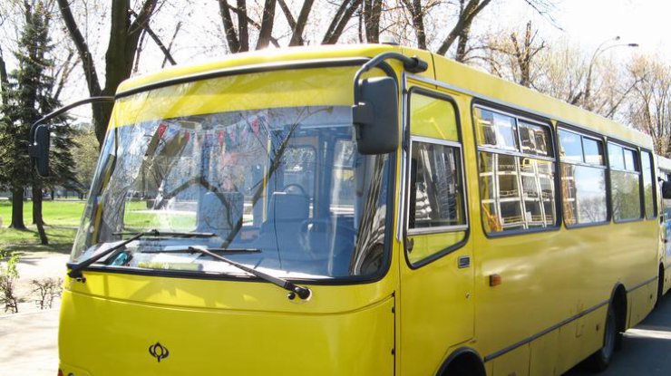 Львів’янину, який побив водія автобуса, винесено вирок.