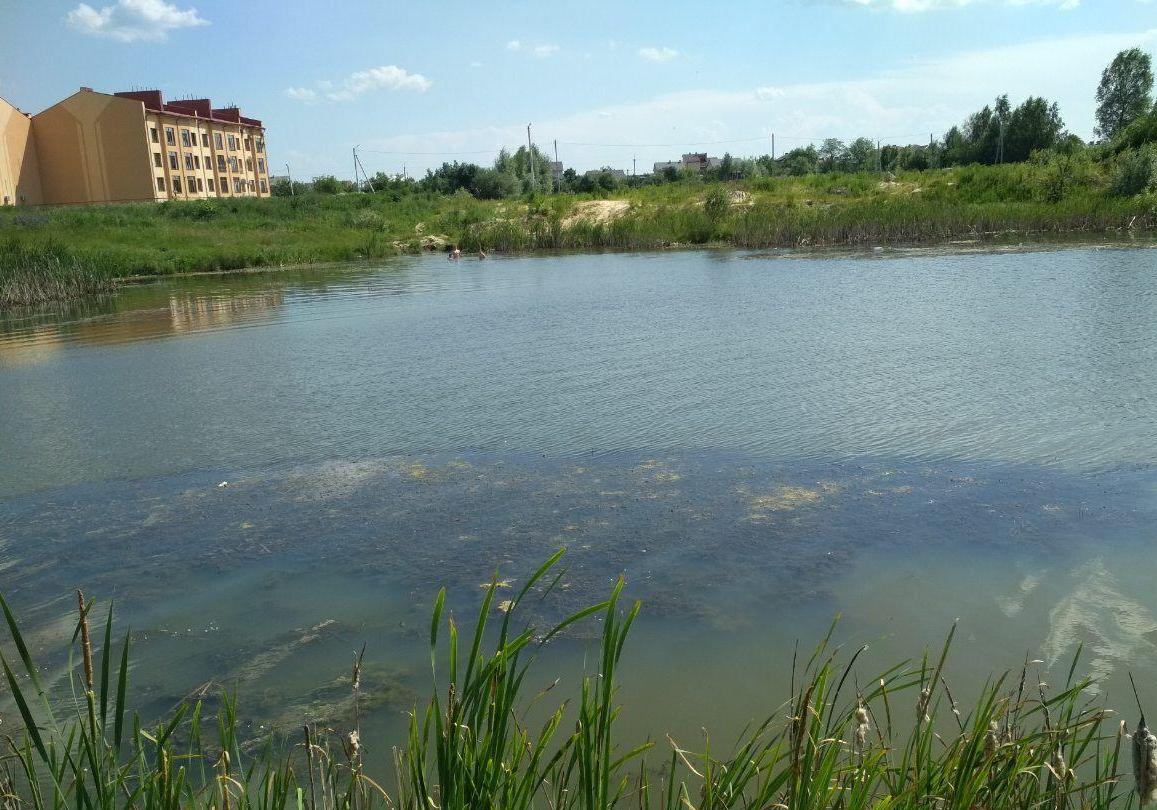 Біля Львова в озері втопився неповнолітній хлопець