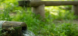 Козликом станеш: проведено лабораторні дослідження води з джерел Львова