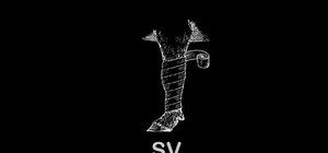 Проект Володимира Топія 