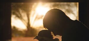 Без пояснень, без осуду: у Львові відкриють друге 