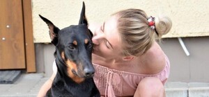 У Львові шукають донорів крові для собак. Фото сміливчиків