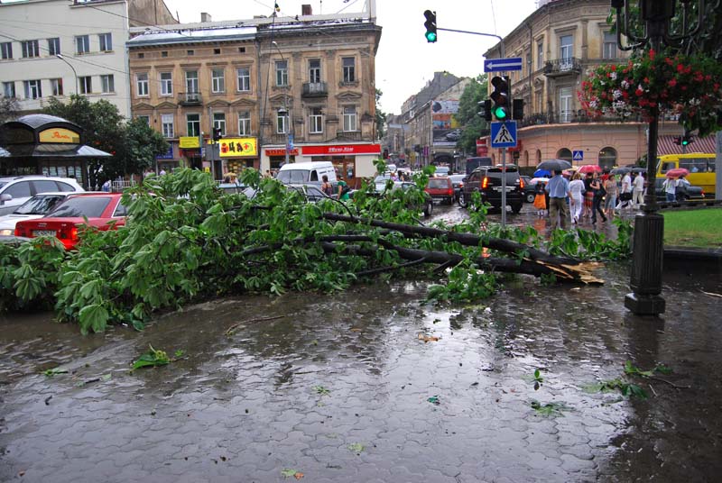 18 вересня у Львові буде шалений вітер. Фото умовне.