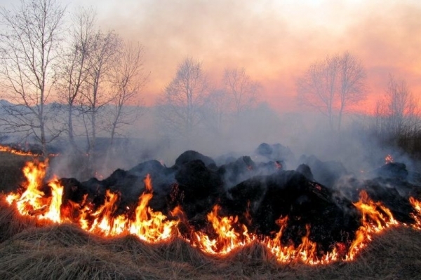 Голова Львівської ОДА Маркія Мальський гасить пожежу у полі автомобільним вогнегасником. Фото умовне.