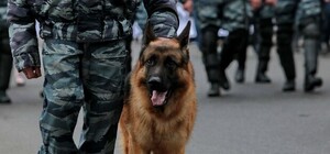 Виставлено охорону: на перехресті у Львові виявили небезпечний предмет