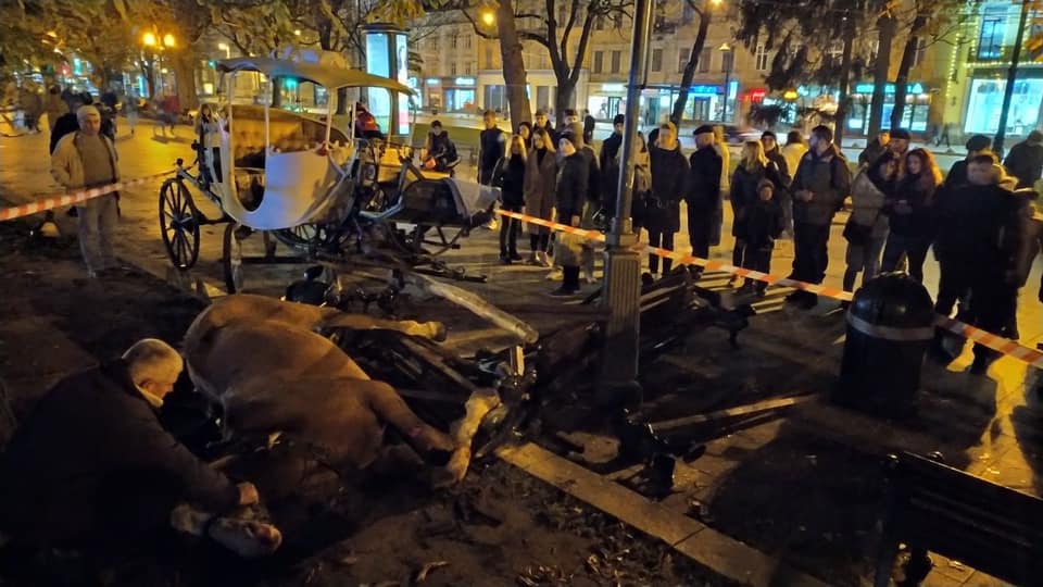 У Львові, налякані петардою коні, травмували дівчину.