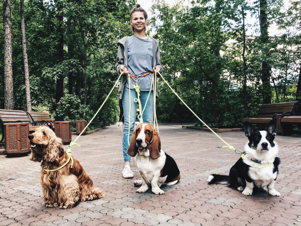У Львові планують створити 97 майданчиків для вигулу собак.