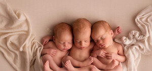 Лелеки люблять Львів: з початку року народилися три трійні і 248 двієнь