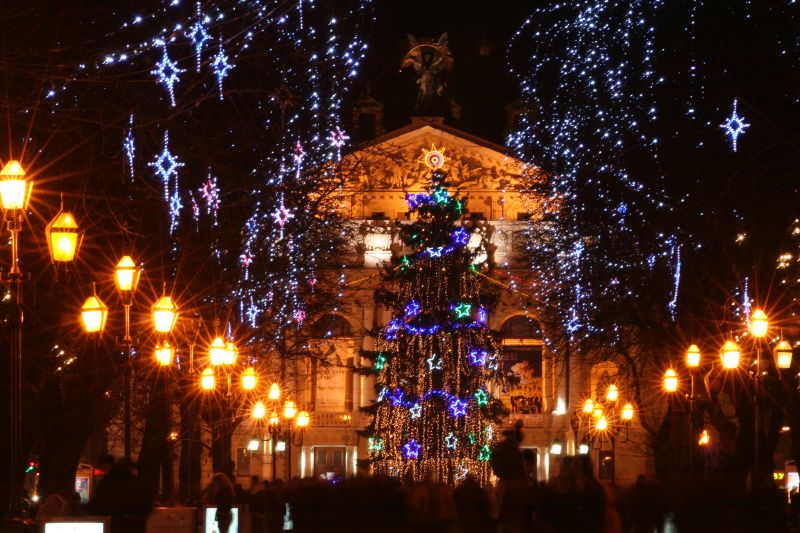 11 грудня встановлюватимуть головну новорічну ялинку міста Львова.