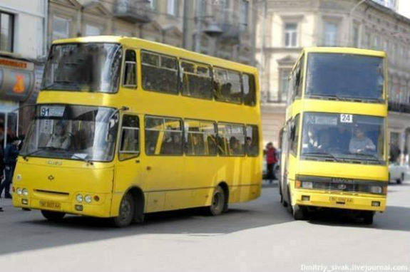 Хто може безкоштовно їздити у львівських маршрутках у 2020 році. Фото умовне.