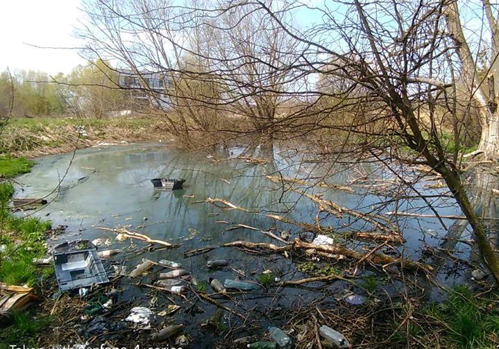 Львів'яни вимагають почистити Скнилівський парк. Фото: Оstap Рashuk