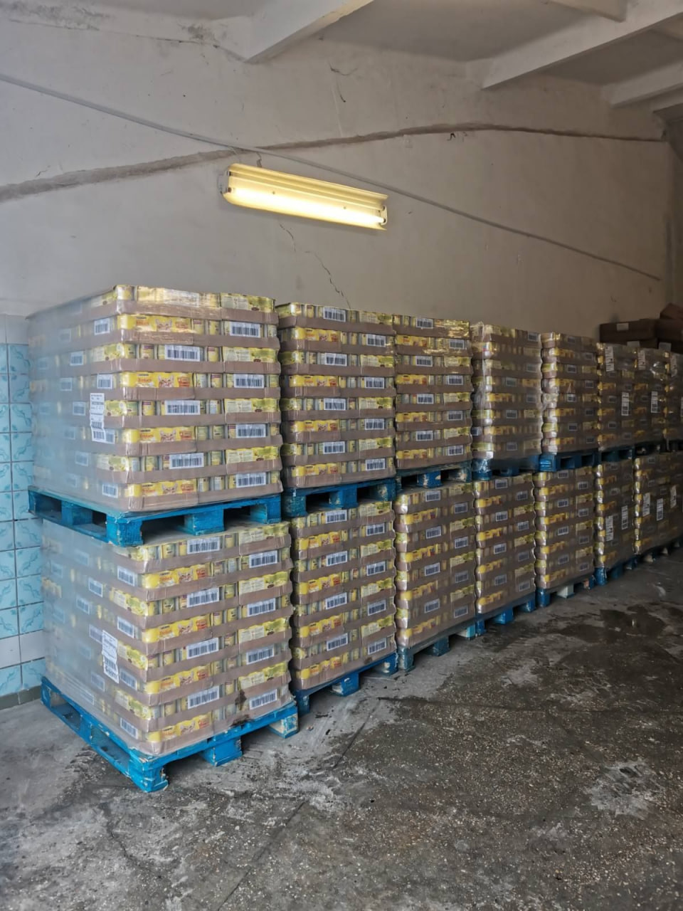 Склади притулків для тварин у регіонах &ndash; важлива складова загальної логістики / Фото Purina&reg;, БО "Щаслива Лапа"