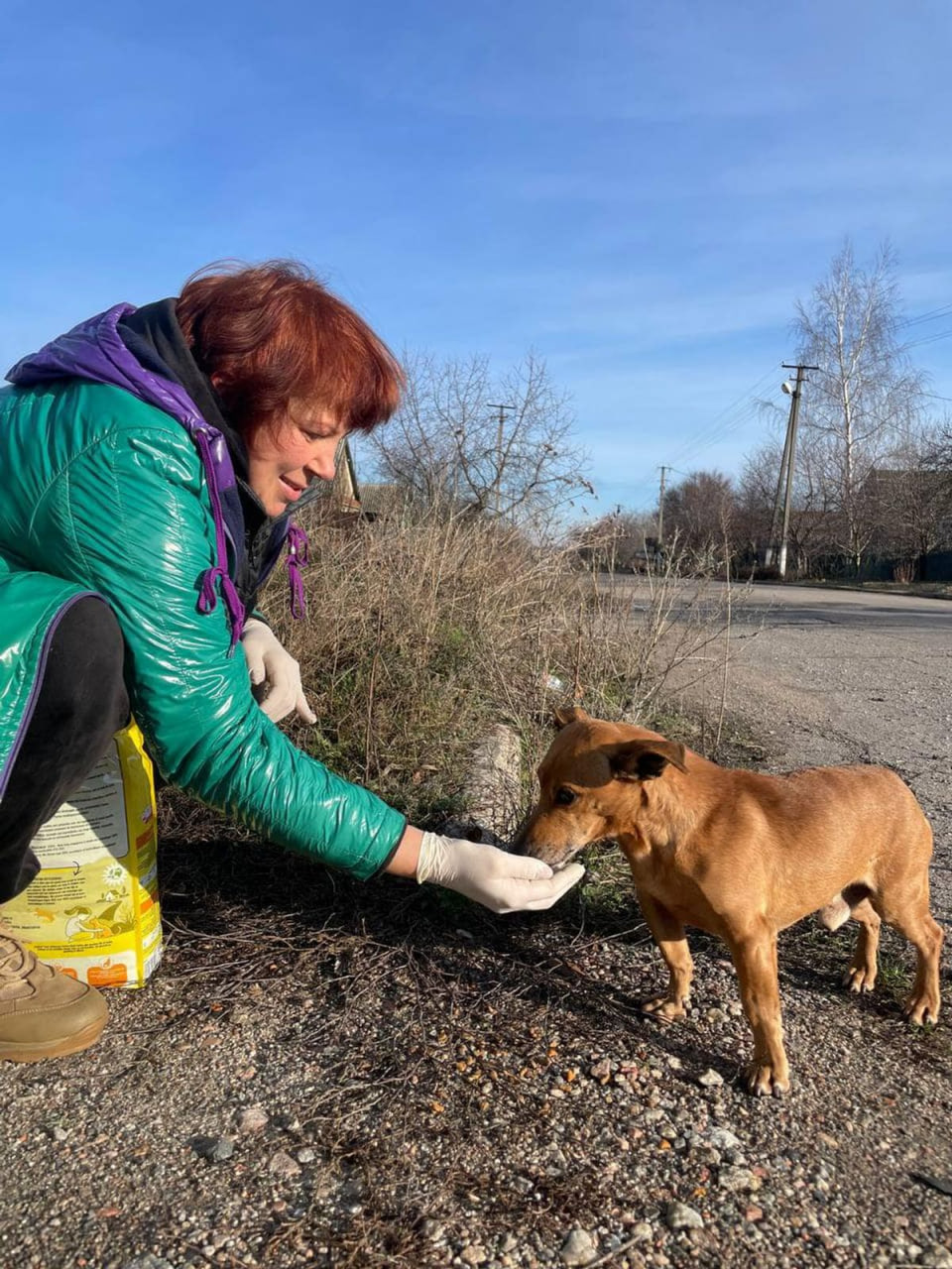 Допомога у Гуляйполе, Преображенку, Оріхів / Фото БО "Щаслива Лапа"