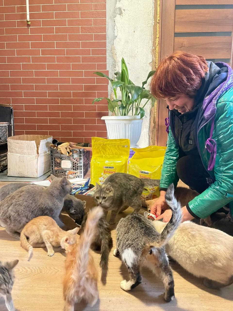 Допомога у Гуляйполе, Преображенку, Оріхів / Фото БО "Щаслива Лапа"