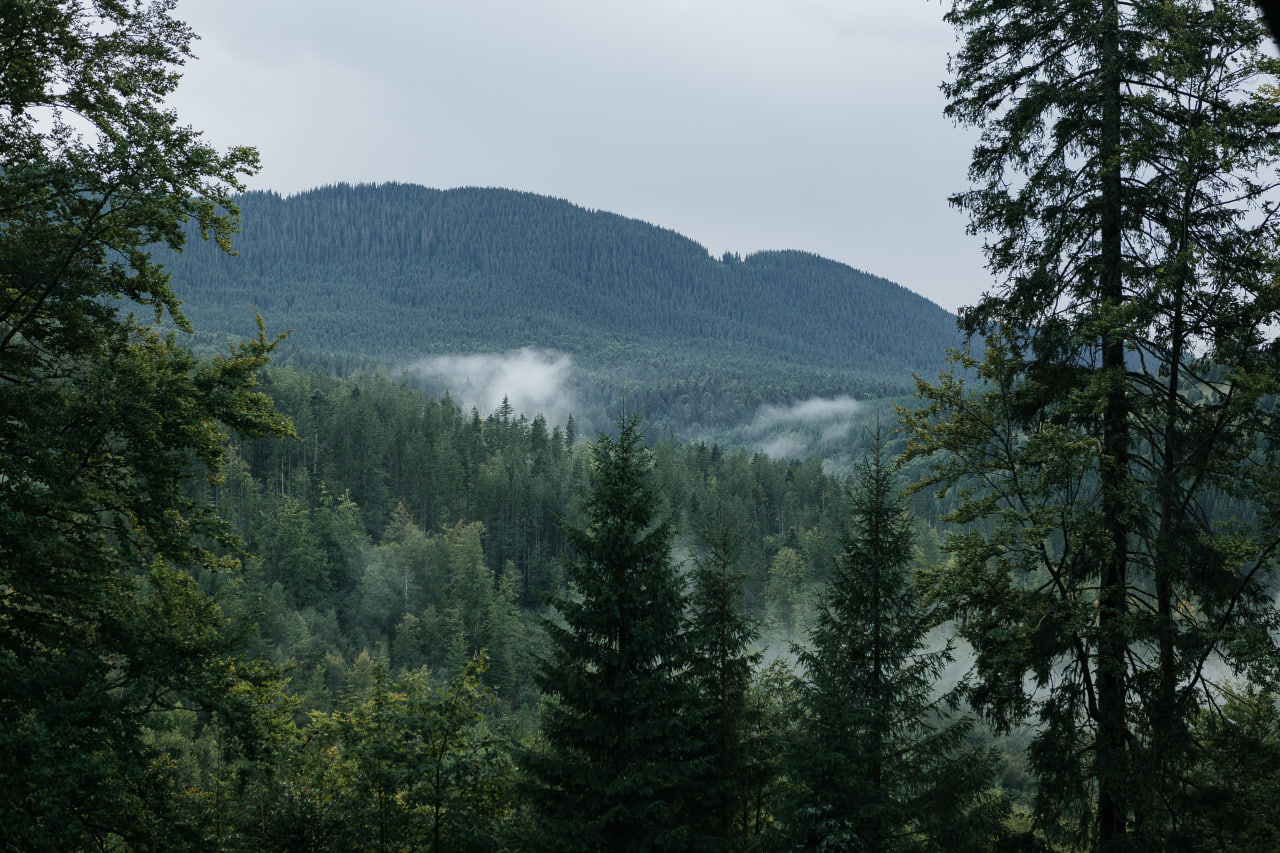 Чи мріяли ви про місце, яке огорне вас затишком та відкриє нескінченну красу та велич гір?