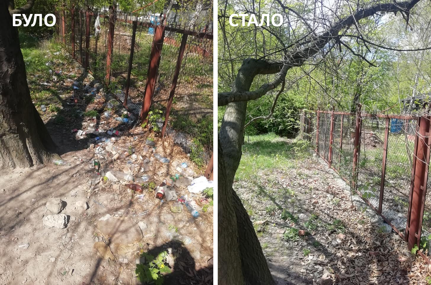 Галявина на вулиці Сяйво у Львові. Фото "до" і "після".