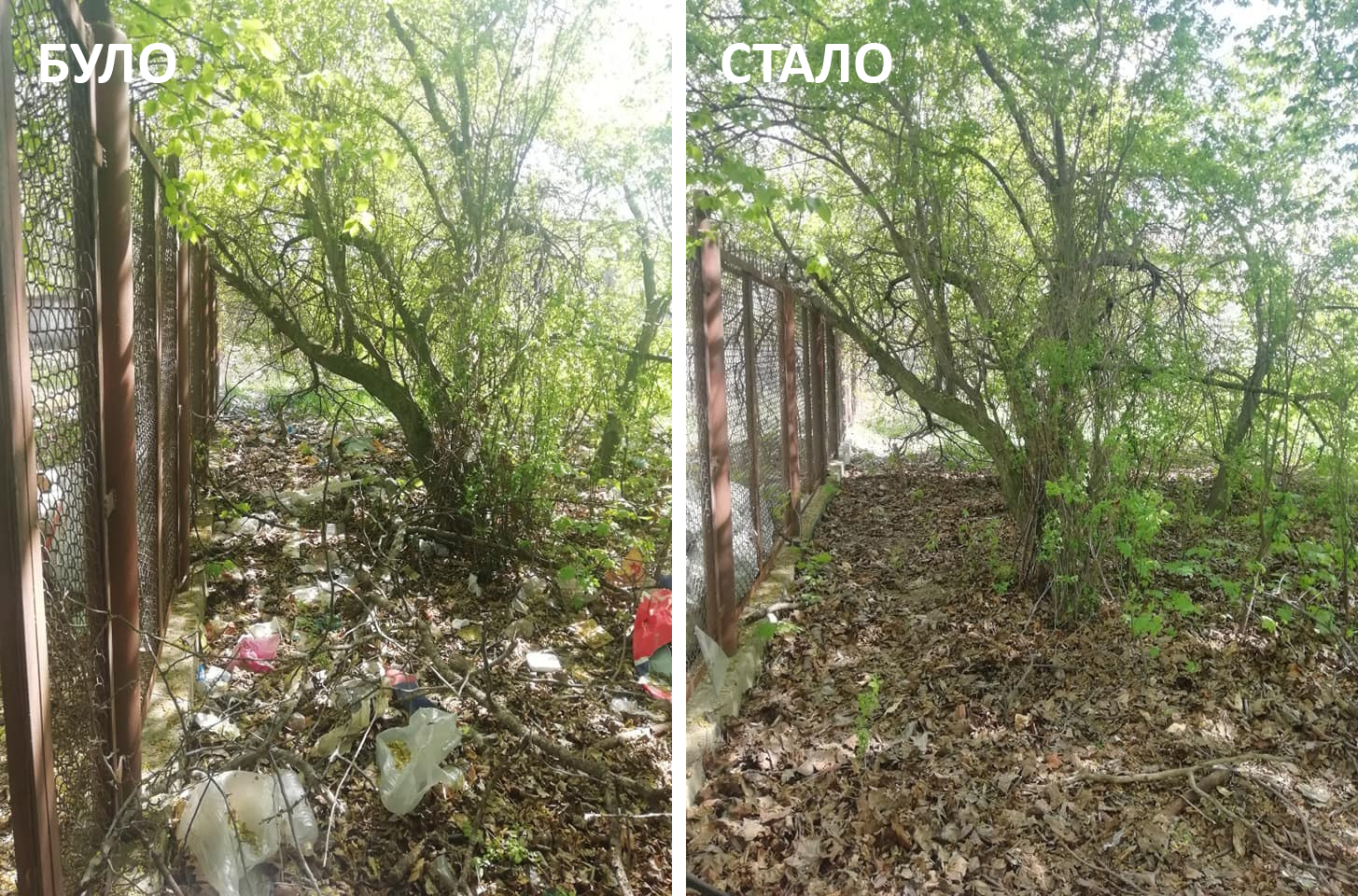 Галявина на вулиці Сяйво у Львові. Фото "до" і "після".