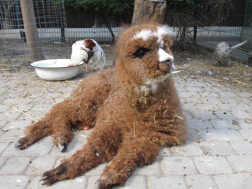 Екоцентр у Львові.