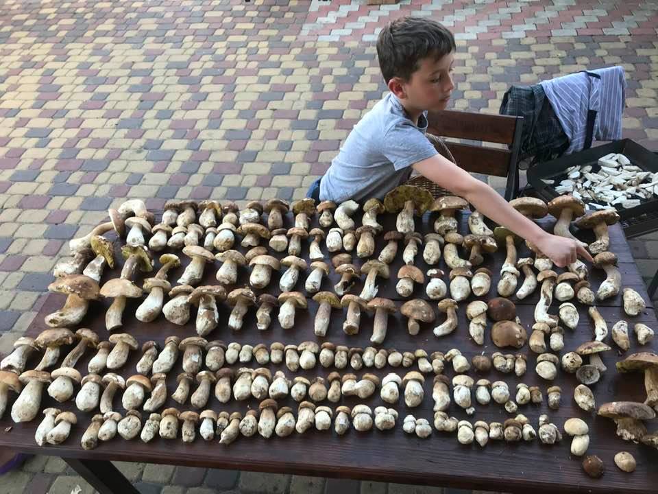 На Львівщині стартував сезон білих грибів. Фото: Мар'ян Лозинський.