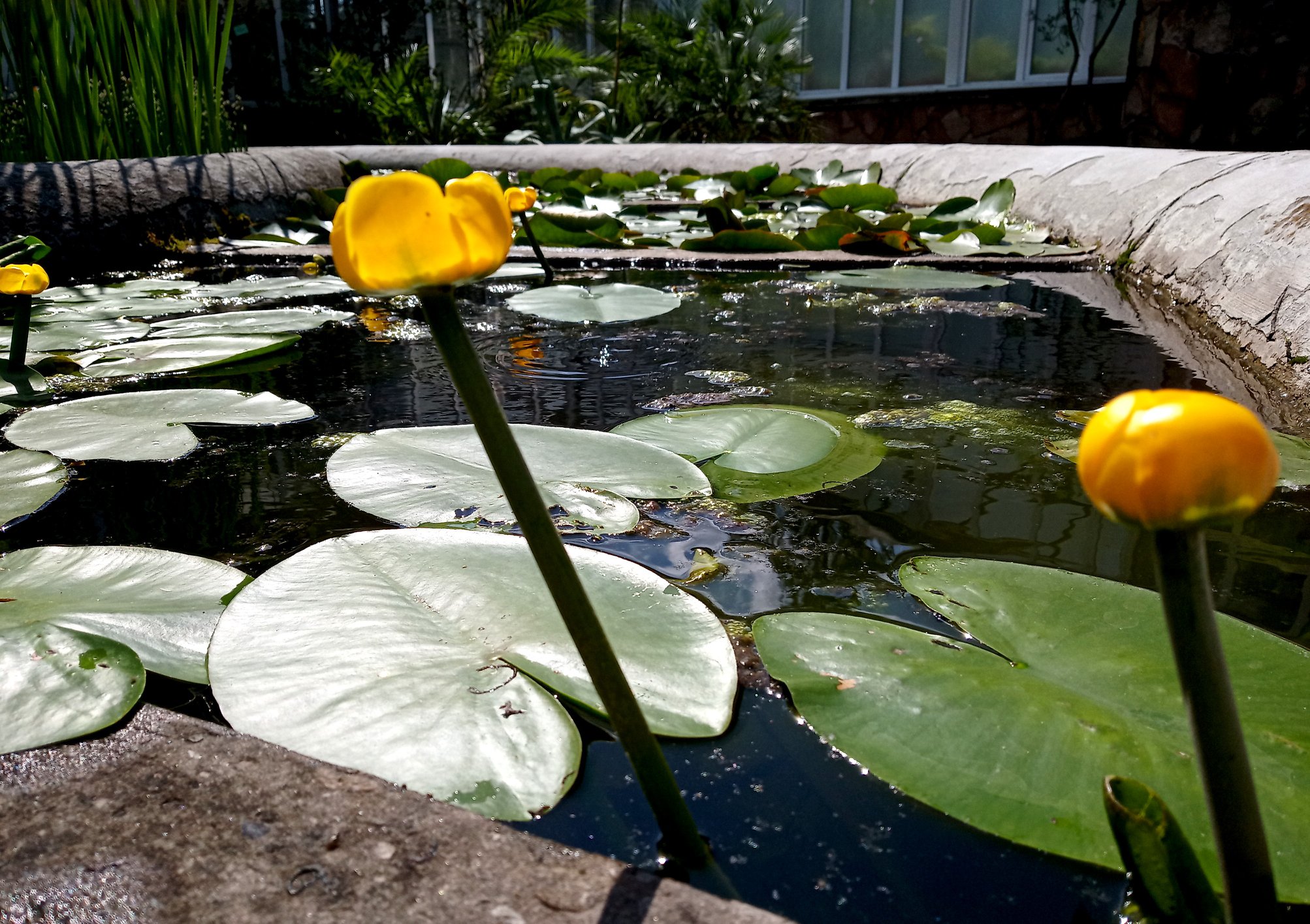 Екскурсія Ботанічним садом. 