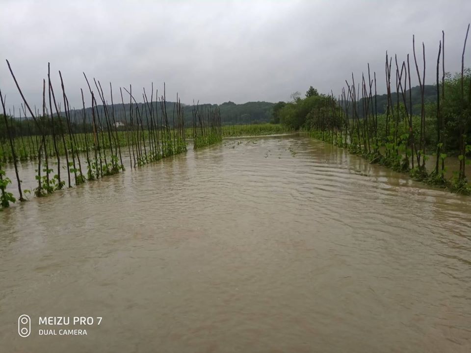 Зарічне. Фото: Olha Dydyn.