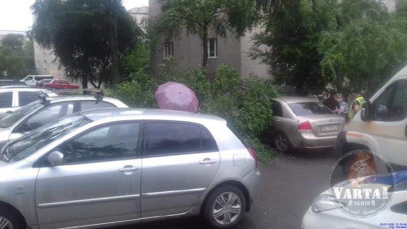 Не в тому місці, не в той час: на львів’янку впало дерево. Фото: "Варта 1". 