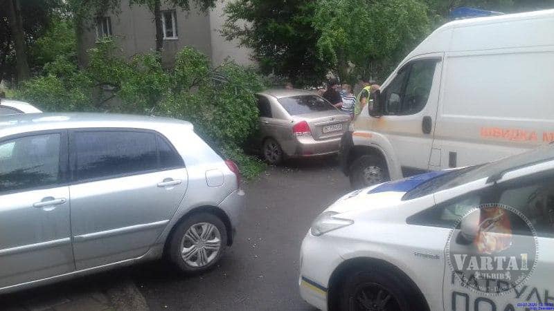Не в тому місці, не в той час: на львів’янку впало дерево. Фото: "Варта 1". 