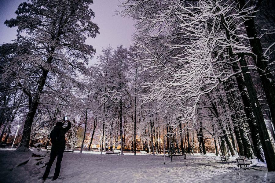Львів казково засипало снігом