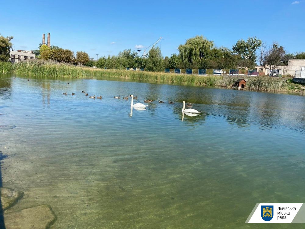 На Левандівське озеро чекає масштабна реконструкція. Фото: Львівська міськрада.