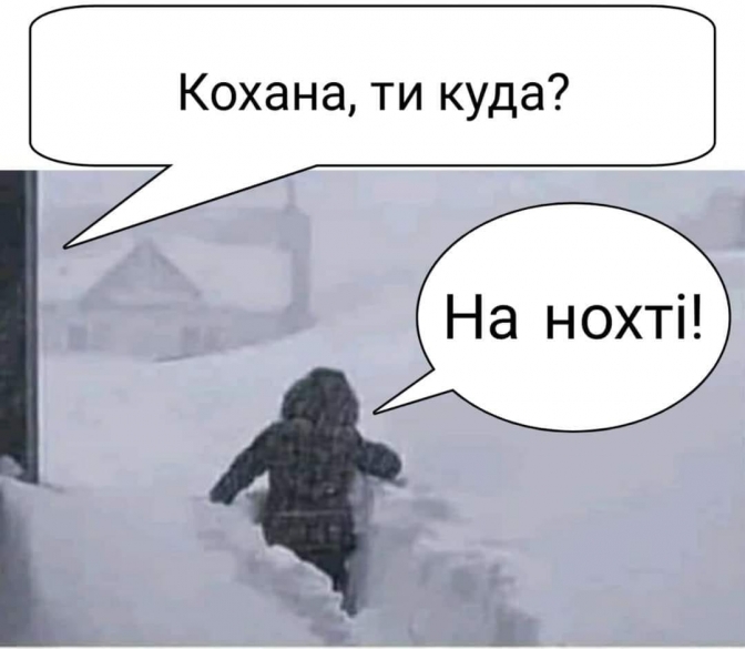 Сміх крізь сніг: Львів у заметах і фотожабах фото 3 2