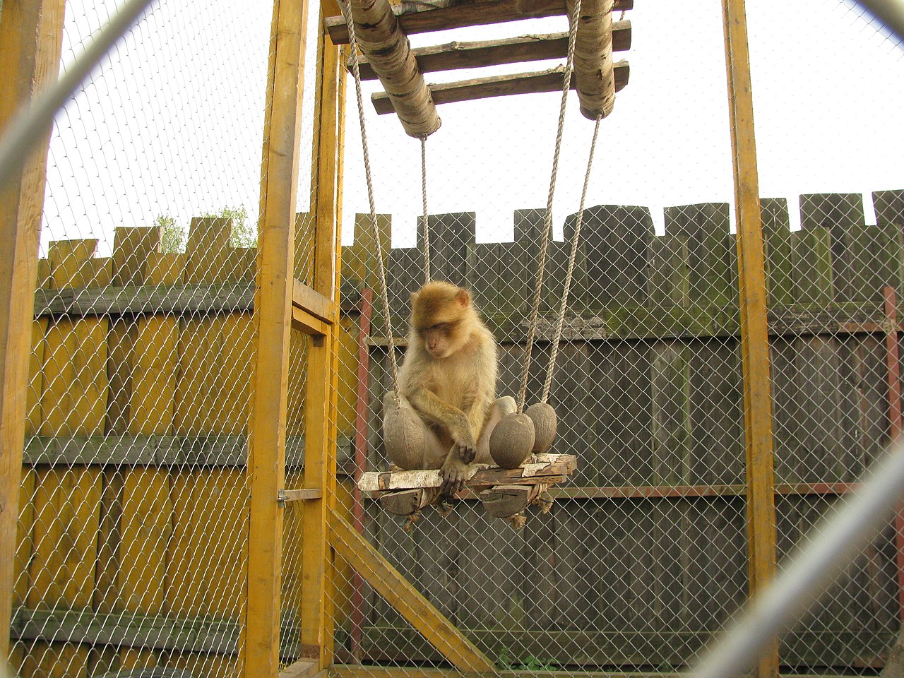 Зоопарк "Лімпопо" у Меденичах. Фото: Вікіпедія