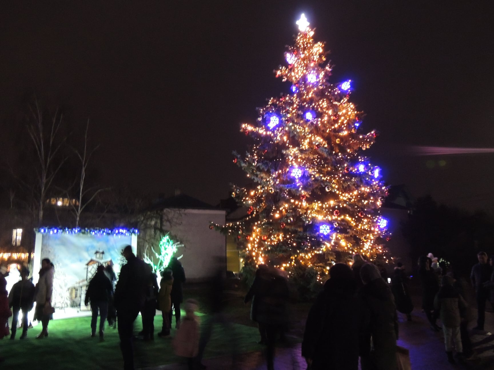 Головна новорічна ялинка у Бродах 2020-2021. Фото: Бродівська міська рада