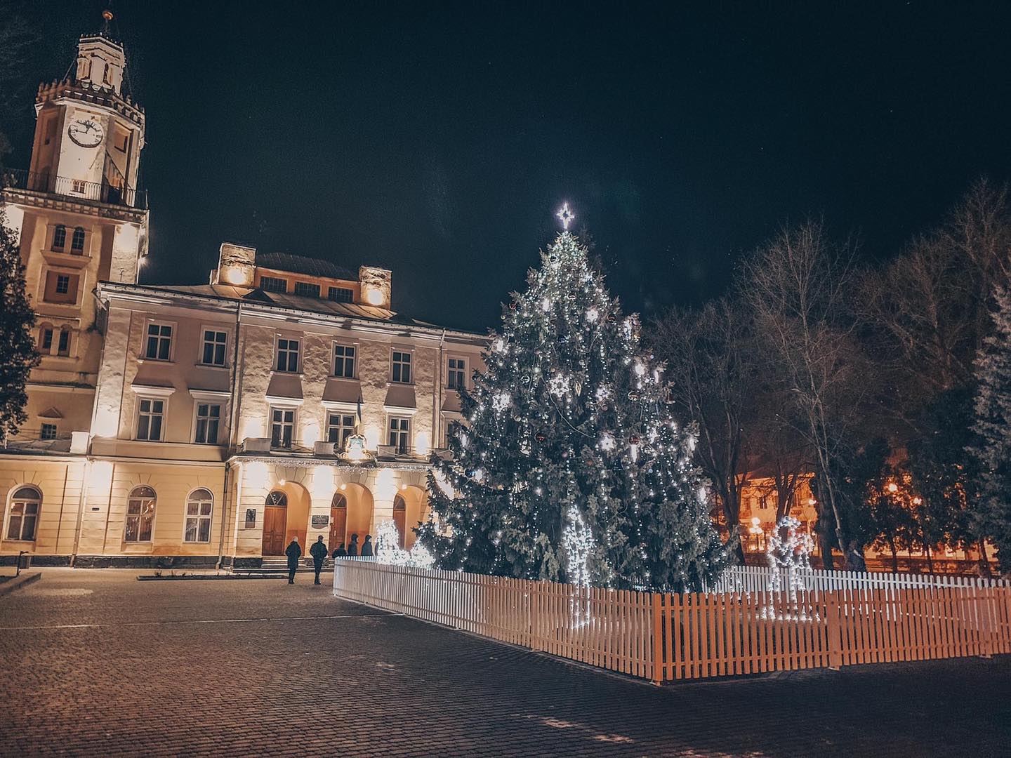 Головна новорічна ялинка у Самборі 2020-2021. Фото: Самбір/Фейсбук
