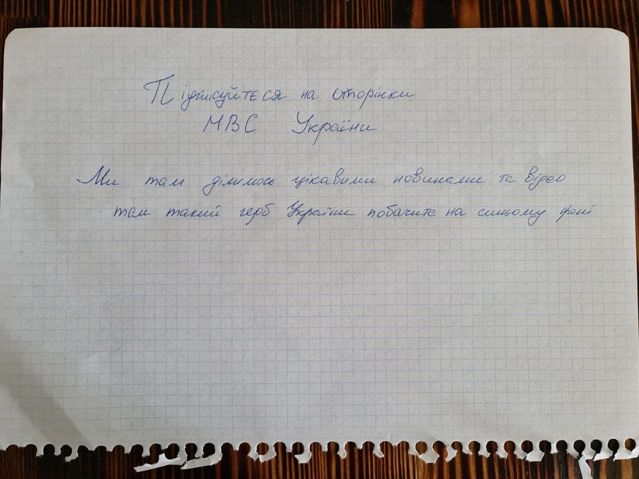 Татова гордість: оголошення на стовпі 10-річної дівчинки зі Львова зібрало 30 тисяч підписників на YouTube фото 2 1