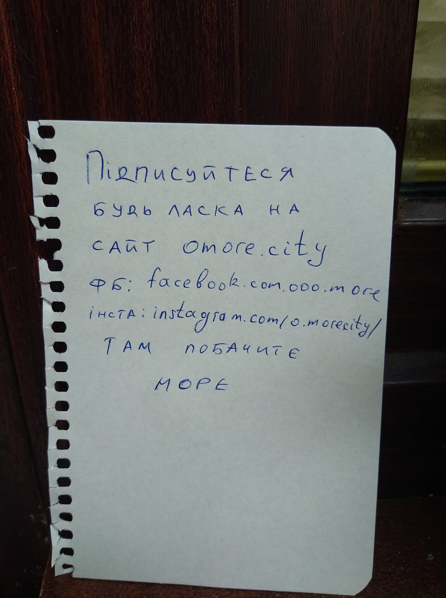 Татова гордість: оголошення на стовпі 10-річної дівчинки зі Львова зібрало 30 тисяч підписників на YouTube фото 1