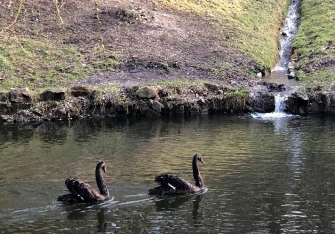 Прогулянка на вихідні: найцікавіші локації Стрийського парку. Фото: Львівська міськрада.