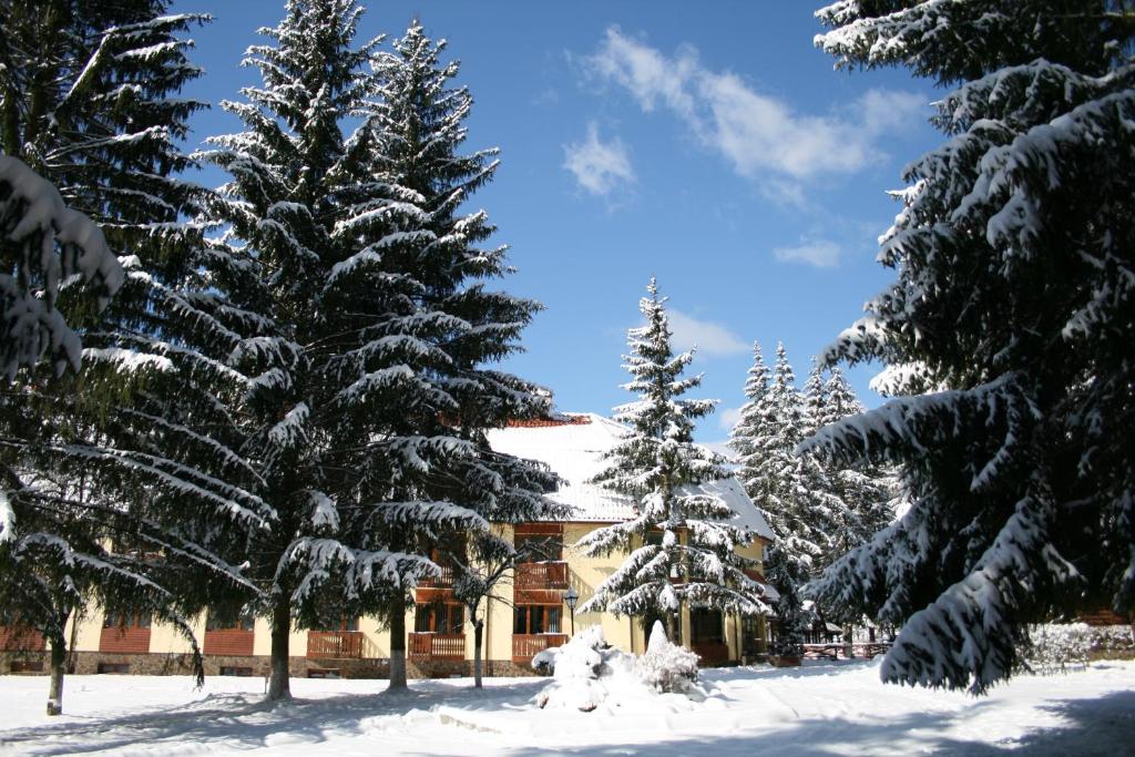 Санаторій «Карпатія» у Шаяні.