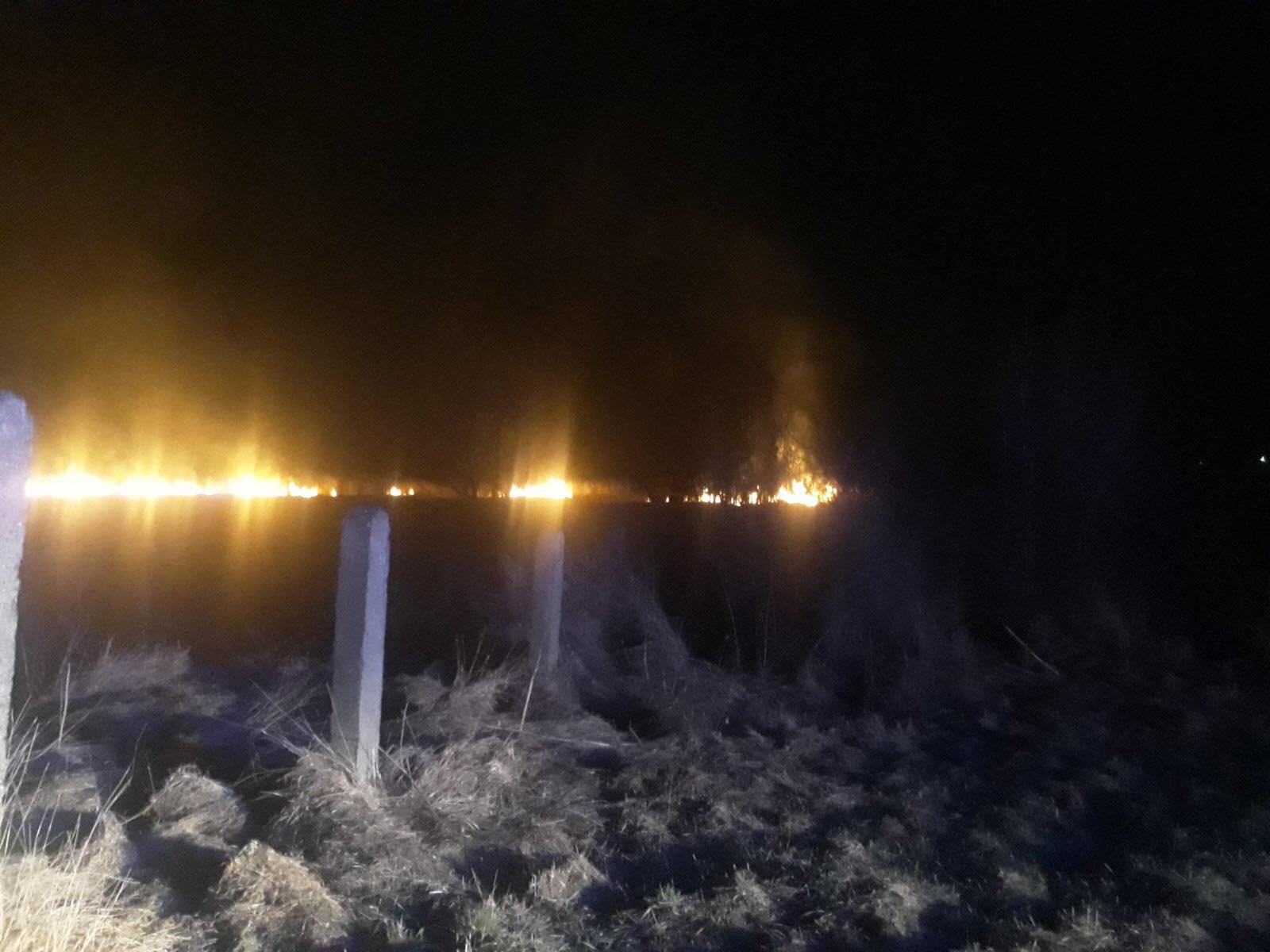 На околиці міста Львова розпочалися масштабні пожежі. Фото: ДСНС Львівщини.