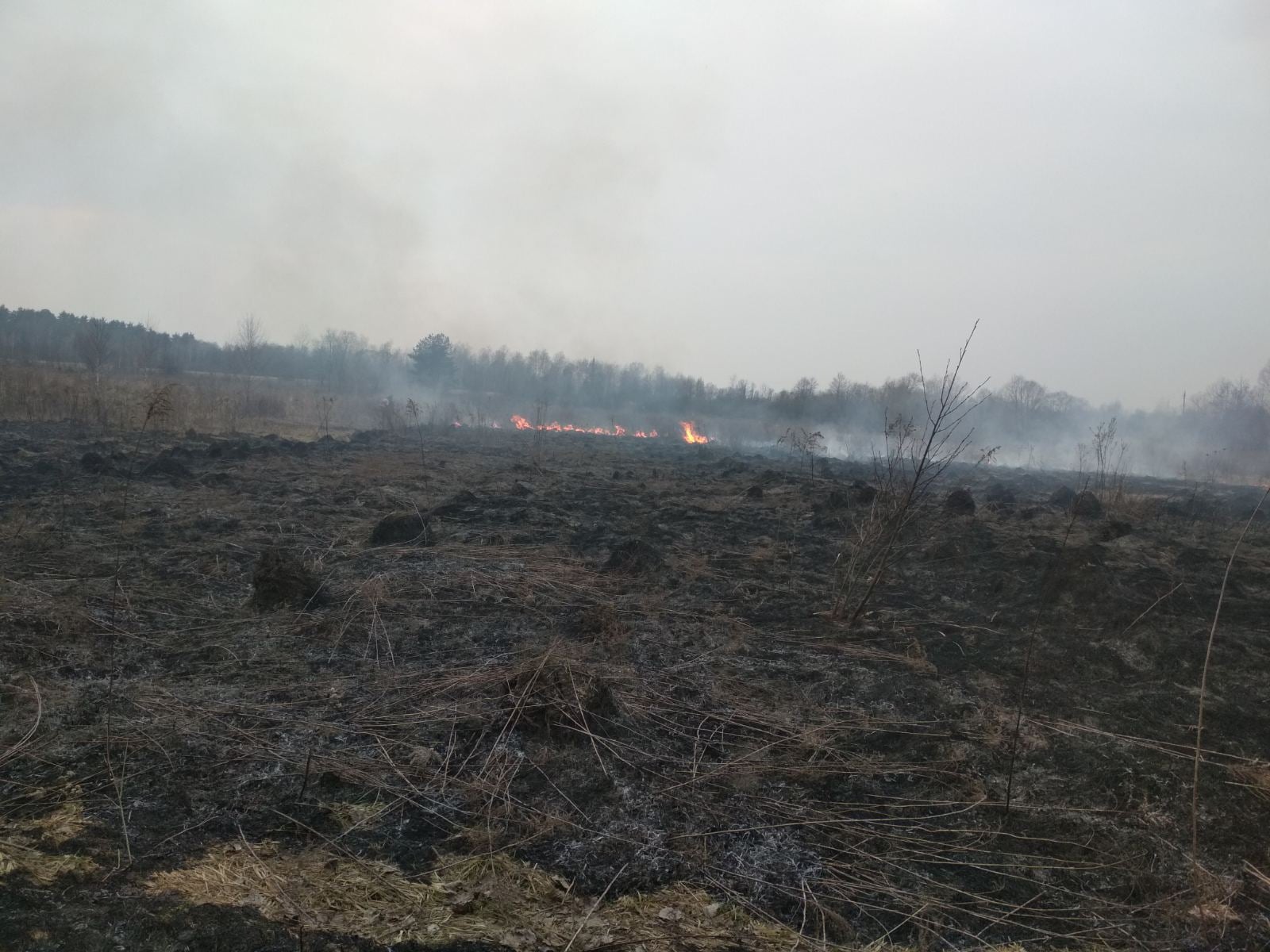 На околиці міста Львова розпочалися масштабні пожежі. Фото: ДСНС Львівщини.