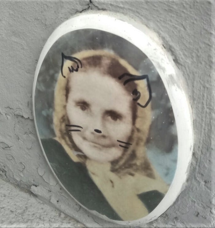 Фото: Микола Сенейко