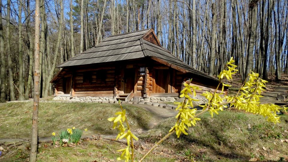 Шевченківський гай у Львові. Фото: Swjatoslaw Fot/Фейсбук