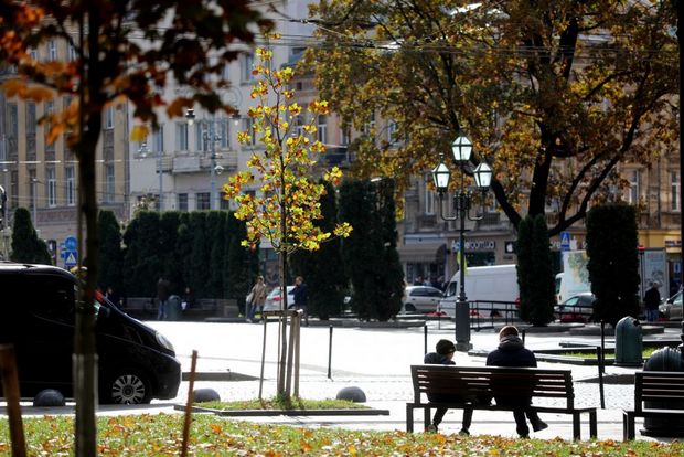 На проспекті Свободи у Львові висадили клени-явори.