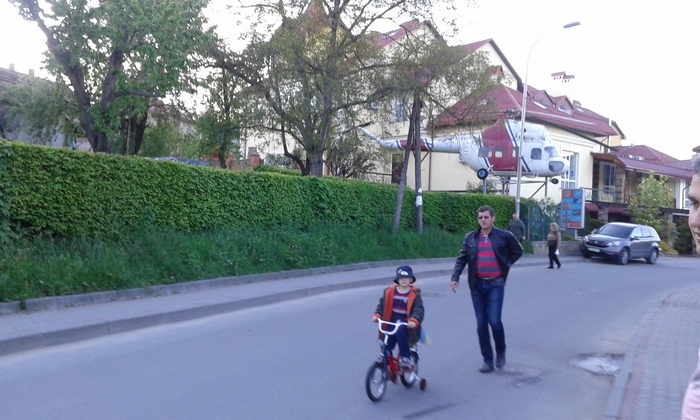 Живопліт у Трускавці. Фото: Lviv.depo.