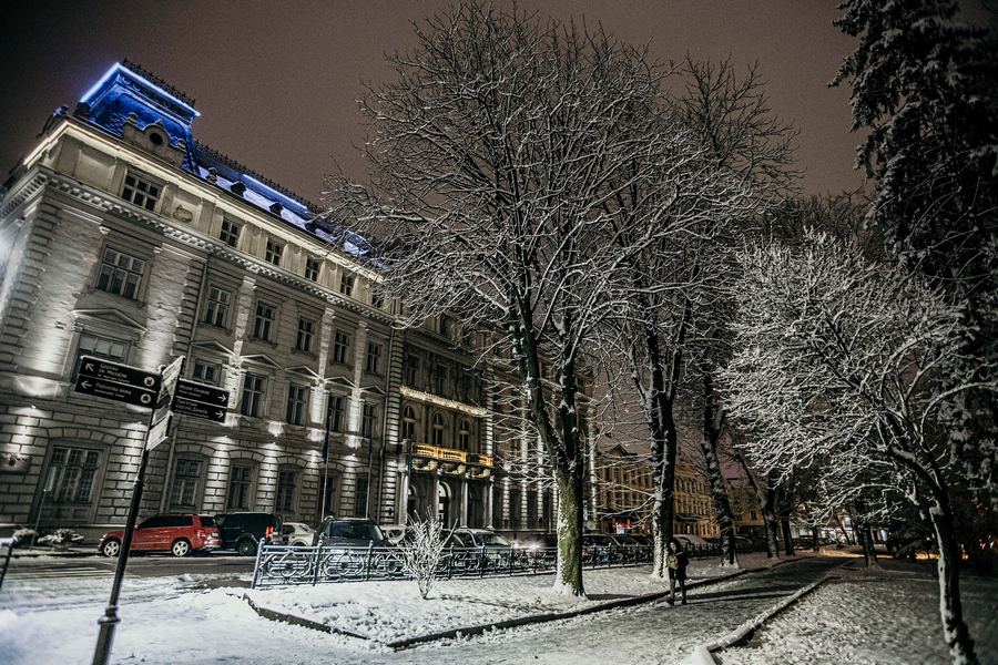 Львів казково засипало снігом