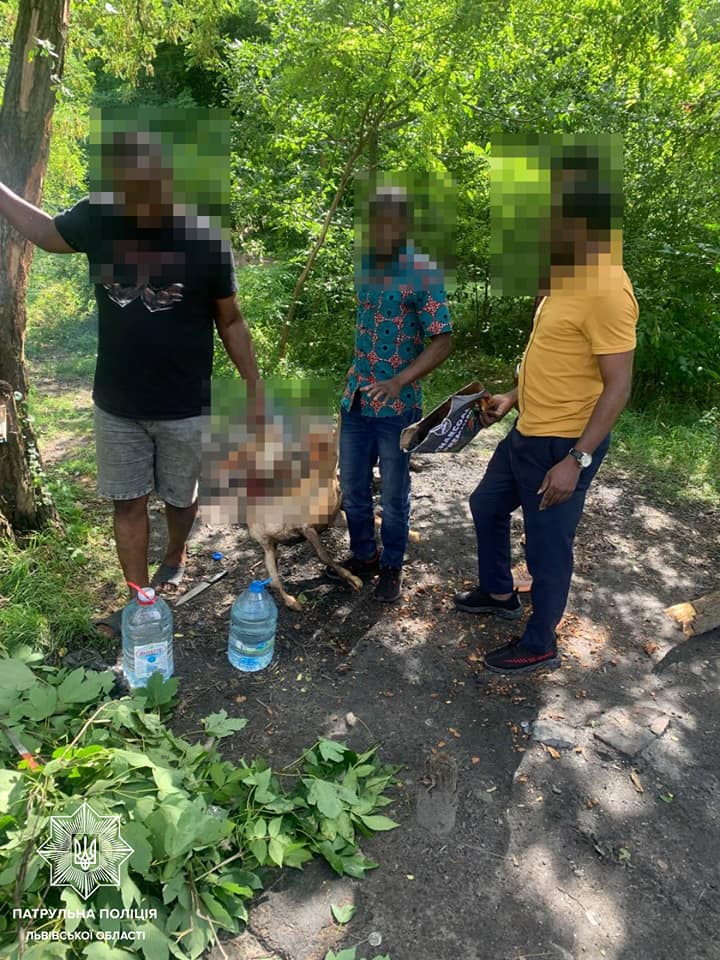 У львівському парку "Знесіння" іноземці зарізали козу і смажили її на вогні. Фото: Патрульна поліція Львівщини