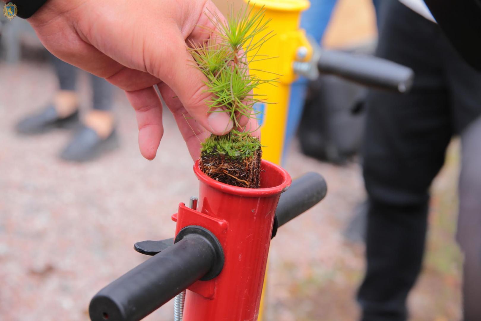 Біля Львова відкрили нове унікальне підприємство. Фото: Львівська ОДА