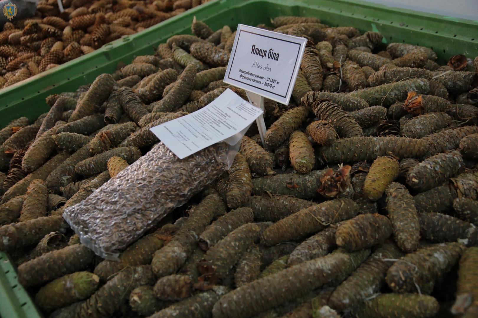 Біля Львова відкрили нове унікальне підприємство. Фото: Львівська ОДА