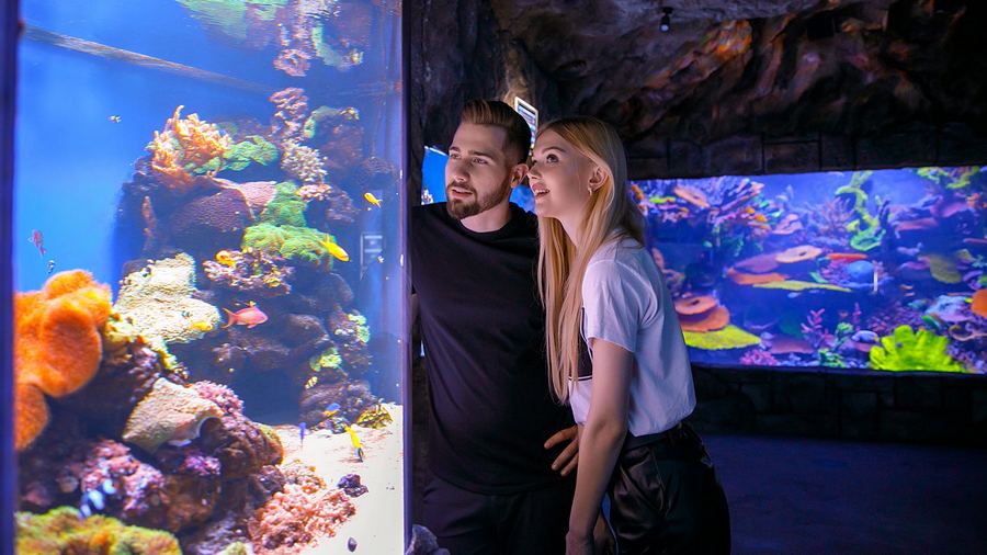 Фото: facebook.com/Океанаріум Львів