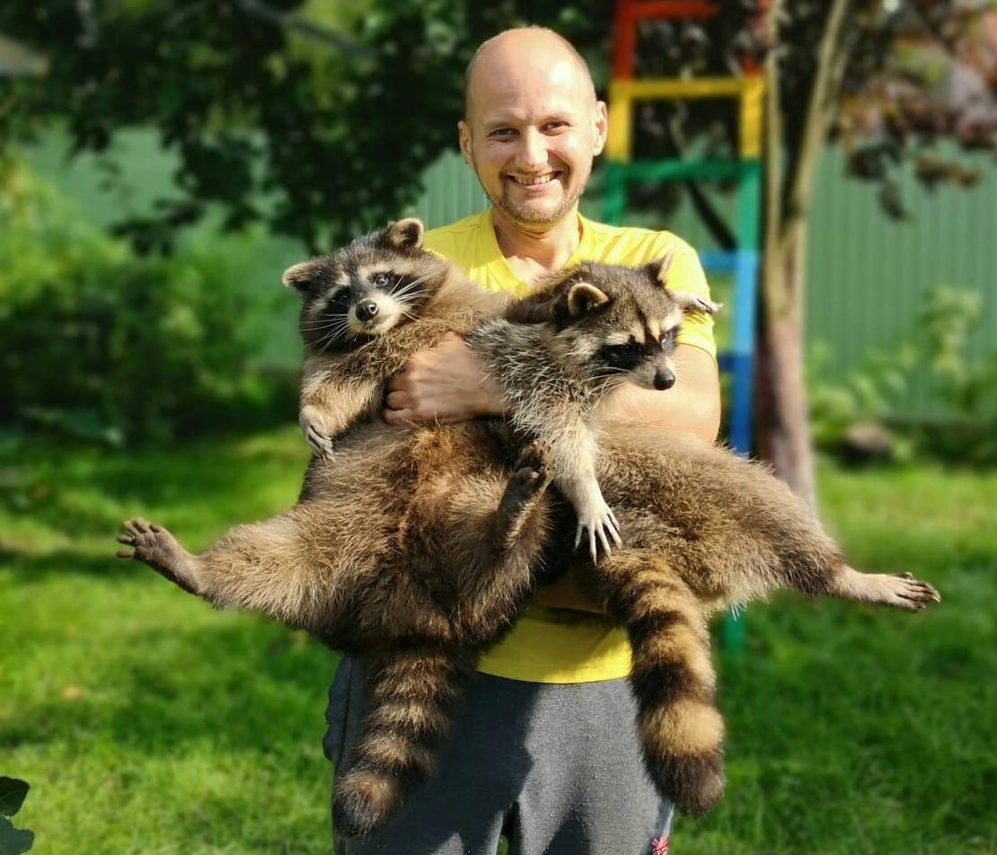 Фото: facebook.com/Дім єнота Львів/ Raccoon House/ Szop pracz/ Procione/ Waschb&auml;r/ Дім єнотів